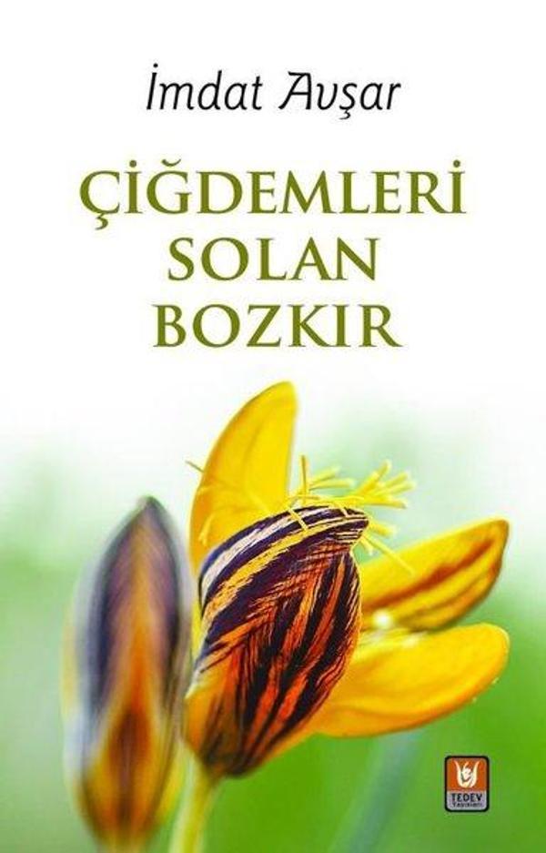 Çiğdemleri Solan Bozkır - Türk Edebiyatı Vakfı Yayınları - Image 1