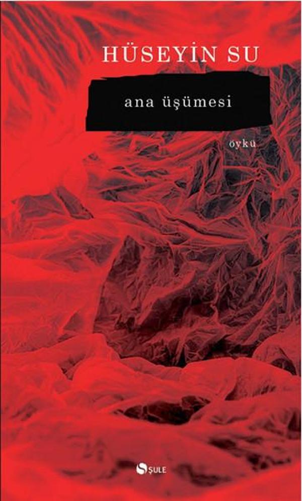Ana Üşümesi - Şule Yayınları - Image 1