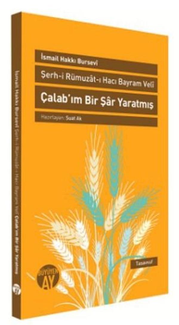 Çalab'ım Bir Şar Yaratmış - Büyüyenay Yayınları - Image 1