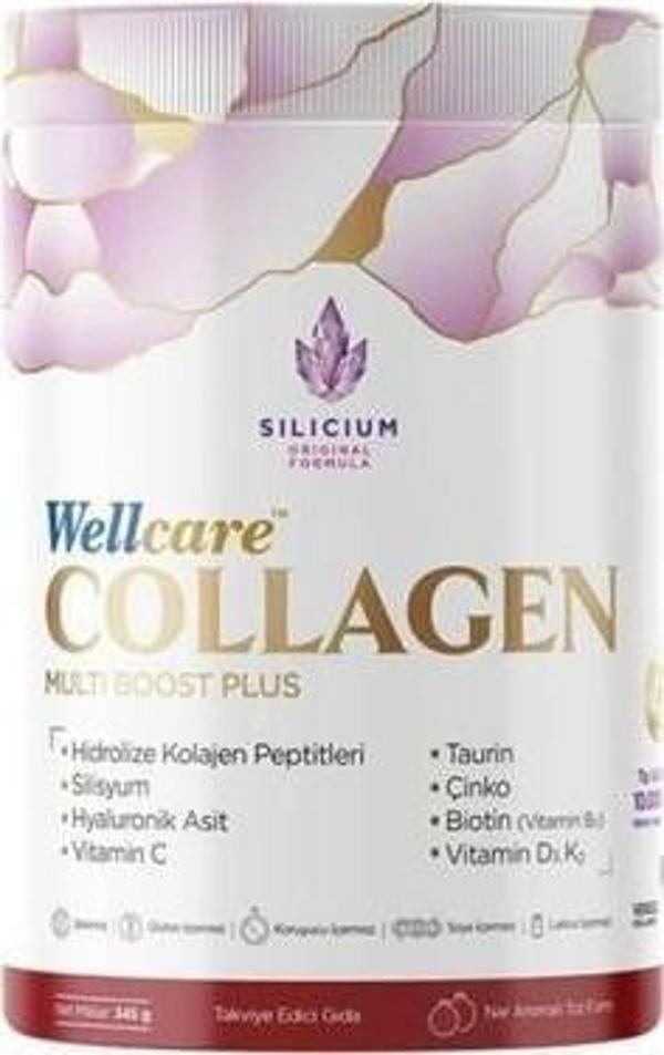 Wellcare Collagen Multiboost Plus Toz 345 gr - Image 1