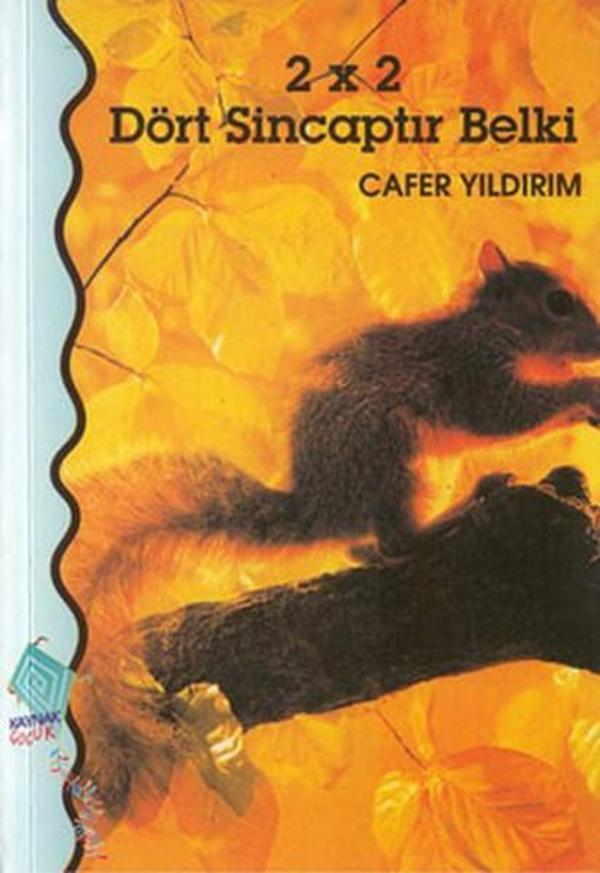Dört Sincaptır Belki - Kaynak Çocuk - Image 1