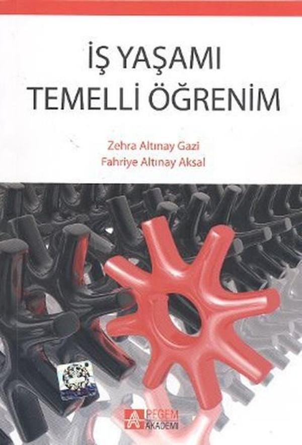 İş Yaşamı Temelli Öğrenim - Pegem Akademi Yayıncılık - Image 1