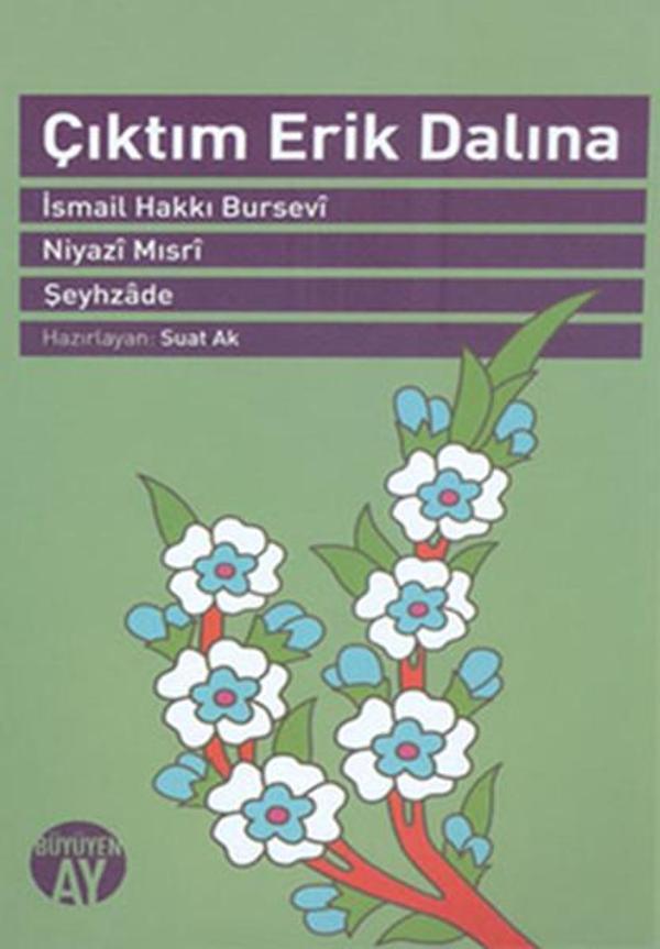 Çıktım Erik Dalına - Büyüyenay Yayınları - Image 1