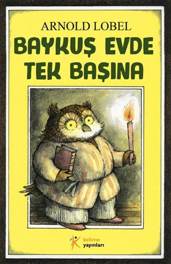Baykuş Evde Tek Başına - Kelime Yayınları - Image 1