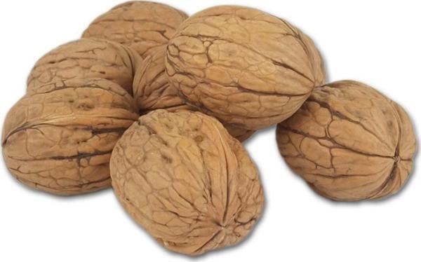 Tuğba Kuruyemiş Kabuklu Ceviz 1 Kg - Image 1