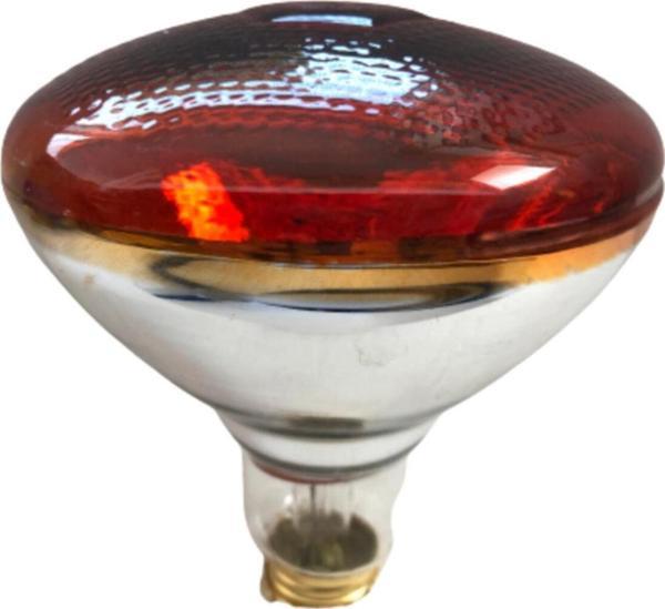 Efe Kuluçka 250 Watt Infrared Isııcı - Image 1