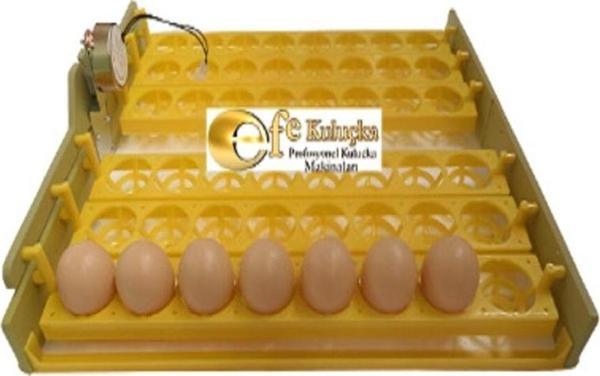 Efe Kuluçka 48 Tavuk Yumurtası Viyolü 2.5/3 Rpm Motoru Dahil - Image 1