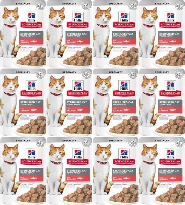 Hills Kısırlaştırılmış Kedi Konservesi Somon Balıklı 12 Adet x 85 Gr - Image 1