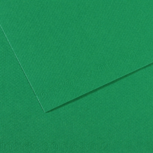 Canson Mi-Teıntes Dokulu Fon Kartonu Sh Canmt 50X65 160 Gram Green 575 31032S114 (10 Lu Paket) - Image 1