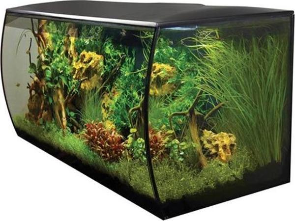 Fluval Flex Akvaryum 123 Lt Siyah - Image 1