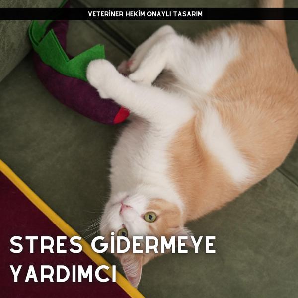 Matatabi - Mor Dino Bol Sesli, Bol Kokulu Kedi Oyuncağı 40 x 12 cm - Image 1