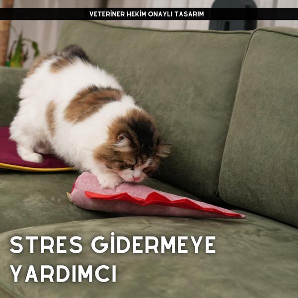 Matatabi - Pembe Dino Bol Sesli, Bol Kokulu Kedi Oyuncağı 40 x 12 cm - Image 1