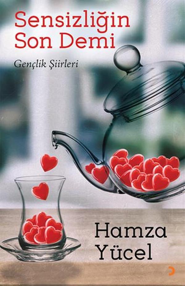 Sensizliğin Son Demi - Cinius Yayınevi - Image 1