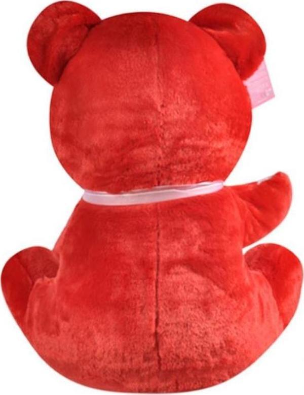 Tıkıl Ayı 57 cm Kırmızı Kalpli Pelüş Ayı Sevgiliye Hediye - Image 1