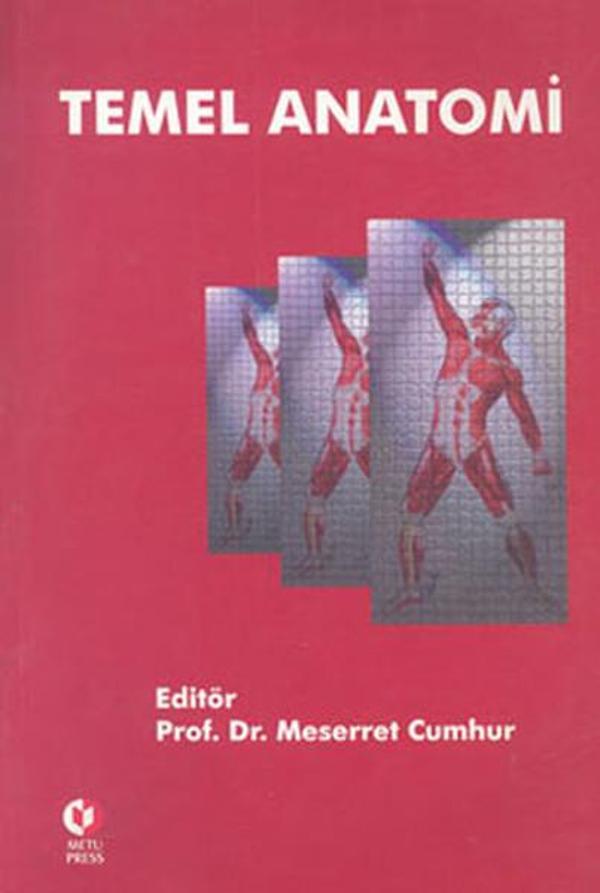 Temel Anatomi - Odtü - Image 1