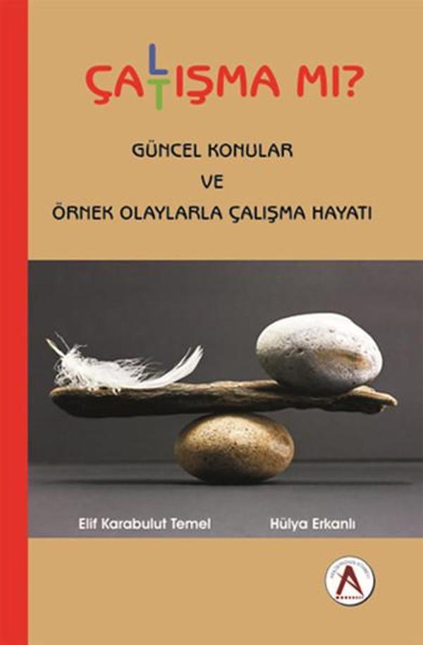 Çalışma mı Çatışma mı? - Akademisyen Kitabevi - Image 1