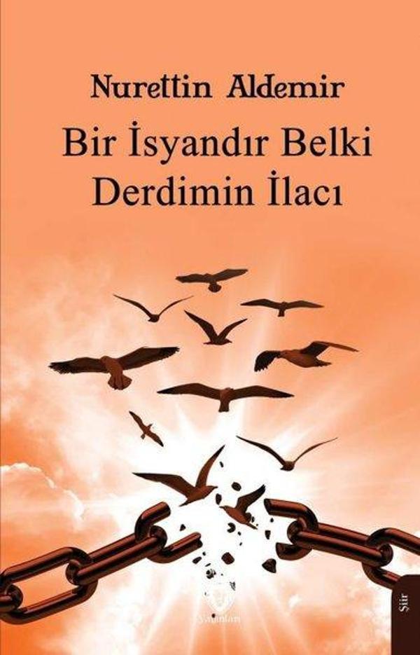 Bir İsyandır Belki Derdimin İlacı - Dorlion Yayınevi - Image 1