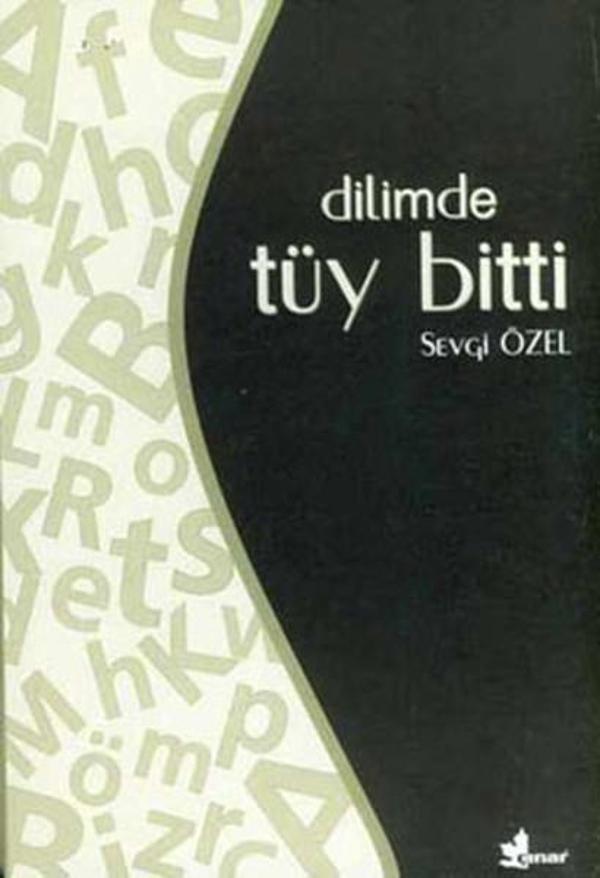 Dilimde Tüy Bitti - Çınar Yayınları - Image 1