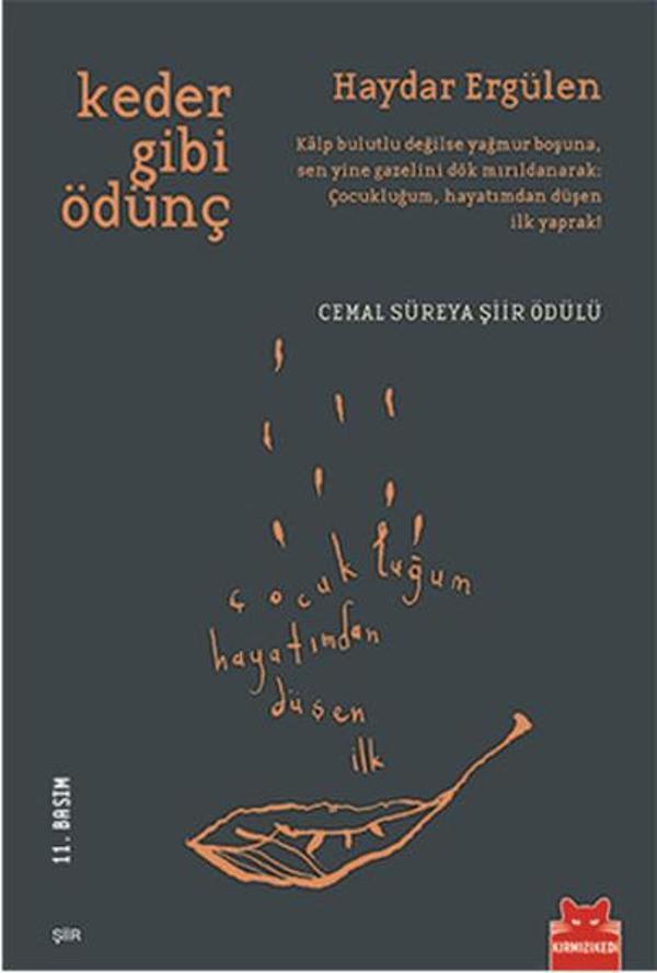 Keder Gibi Ödünç - Kırmızı Kedi Yayınevi - Image 1