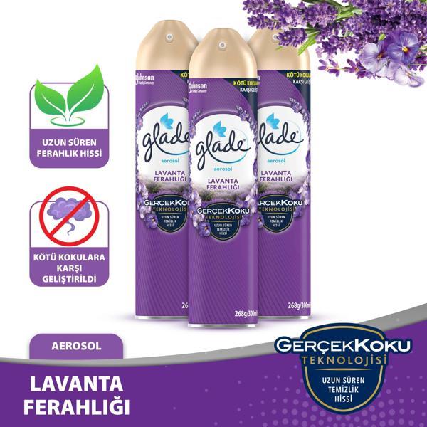 Aerosol Oda Kokusu Lavanta 3 'lü Set - Image 1