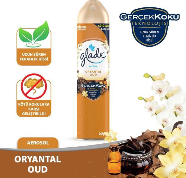 Hava Tazeleyici Aerosol Oda Kokusu Oryantal Oud 300ml - Image 1