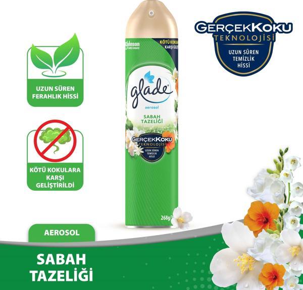 Hava Tazeleyici Aerosol Oda Kokusu Sabah Tazeliği 300ml - Image 1