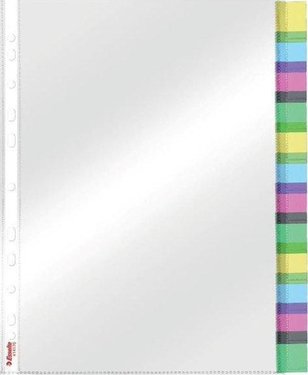 Esselte Ayraçlı Poşet 12 sayfa-Şeffaf - Image 1