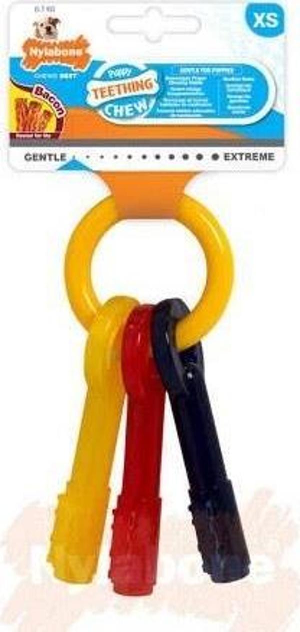 Nylabone Domuz Pastırması Aromalı Yavru Köpek Çiğneme Çubuğu XS - Image 1