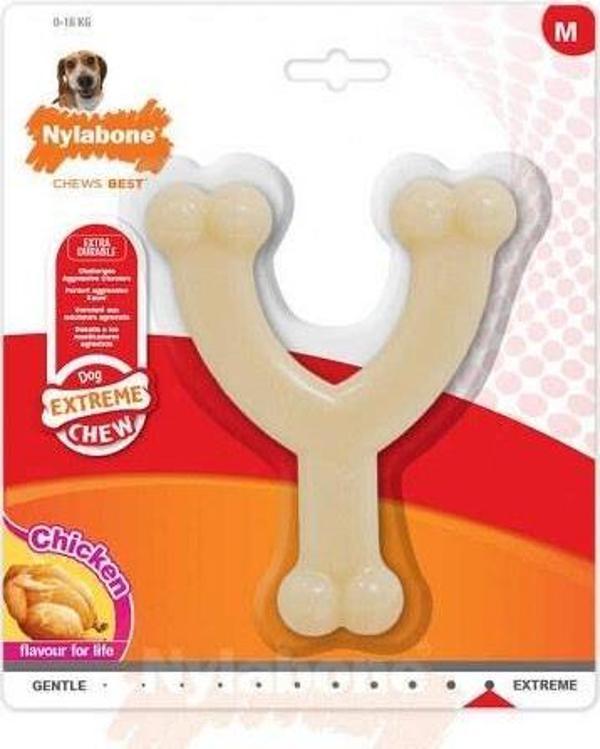 Nylabone Tavuk Aromalı Köpek Çiğneme Kemiği M - Image 1