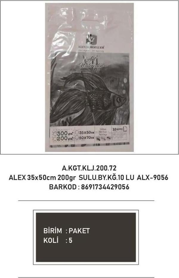 Alex Schoeller Sulu Boya Kağıdı 35x50 Cm 200 GR 10 Lu ALX-9056 - Image 1