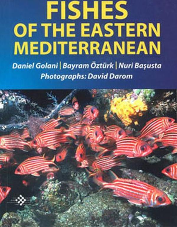 Fishes Of The Eastern Mediterranean - İlke Basın Yayın - Image 1