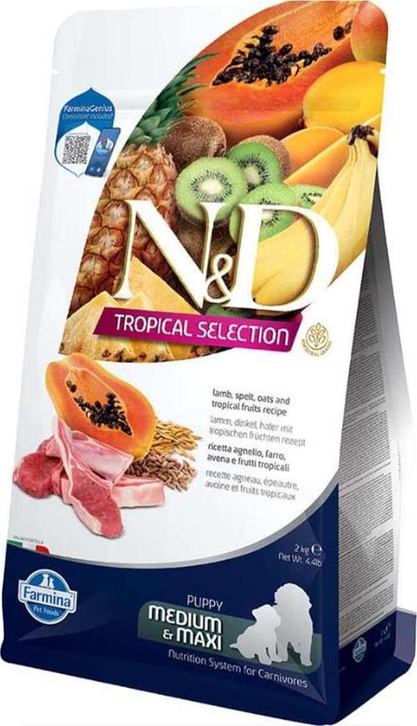 N&D Tropical Kuzulu Orta ve Büyük Irk Yavru Köpek Maması 2 Kg - Image 1