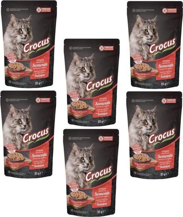 Crocus 6 Adet Tahılsız Kedi Somonlu Pouch Jöleli  Yaş Mama 85 g   - Image 1