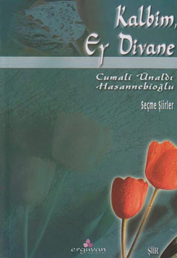 Kalbim Ey Divane - Erguvan Yayınları - Image 1