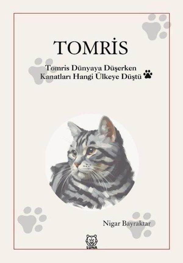 Tomris - Tomris Dünyaya Düşerken Kanatları Hangi Ülkeye Düştü - Luna Yayınları - Image 1