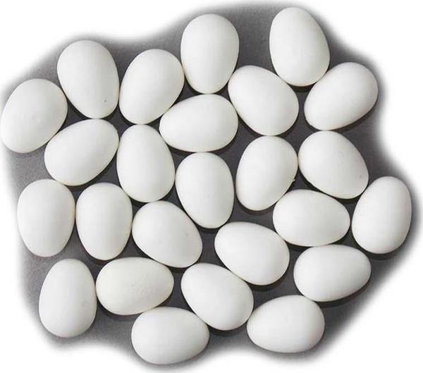 Sahte Plastik Yumurta 24 lü - Image 1