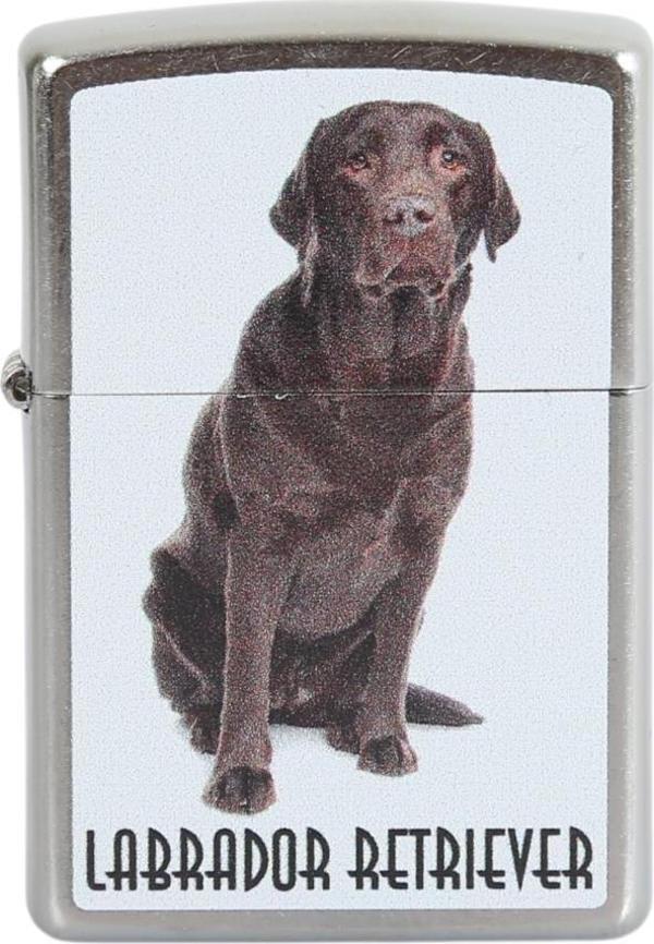 Zippo Çakmak Labrador Retriever - Image 1
