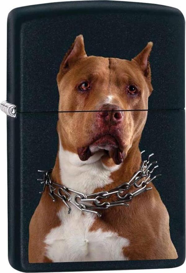 Zippo Çakmak Pit Bull with Collar - Black Matte 79845 - Image 1