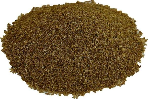 Doğal Saf Sarı Haşhaş Tohumu Tane Sarı Haşhaş Tohum 100 gr Paket - Image 1