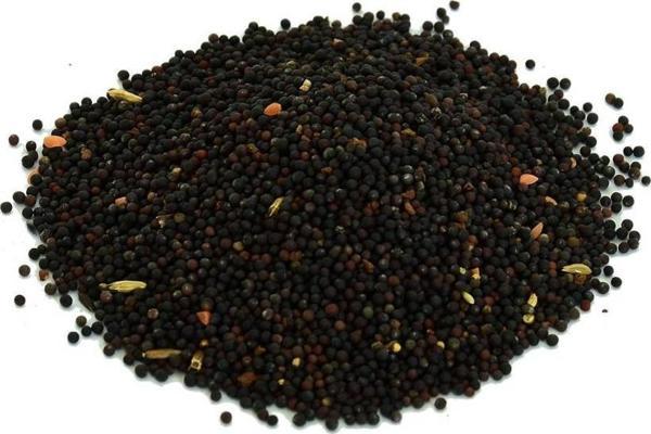 Doğal Saf Tane Siyah Hardal Tohumu 100  gr Paket - Image 1