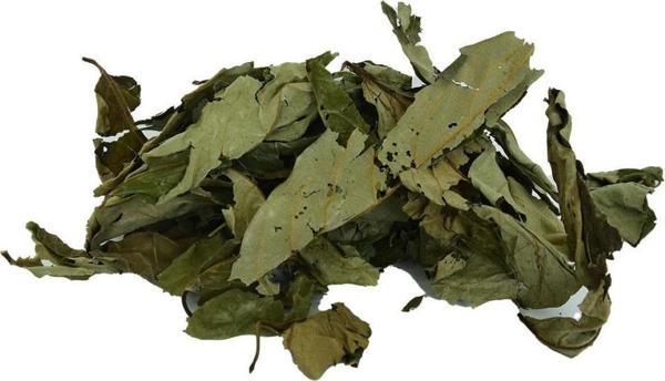 Doğal Üvez Yaprağı Kurutulmuş Tane Kuru Yaprak Üvez 100 gr Paket - Image 1