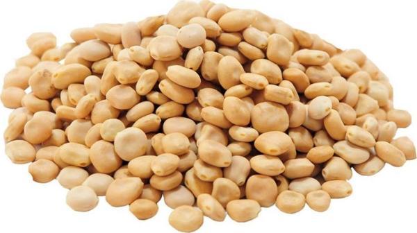 Doğal Acı Bakla Tohumu 1.Kalite Yahudi Baklası Termiye Lupen 50 gr - Image 1