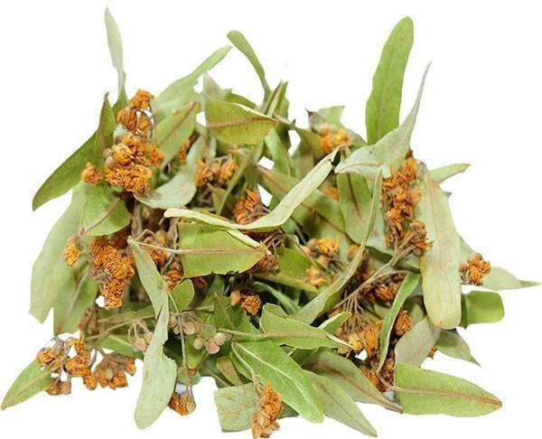 Doğal Ihlamur Çiçeği Bitki Çayı Saf Ihlamur Çiçek Yaprak 30 gr - Image 1