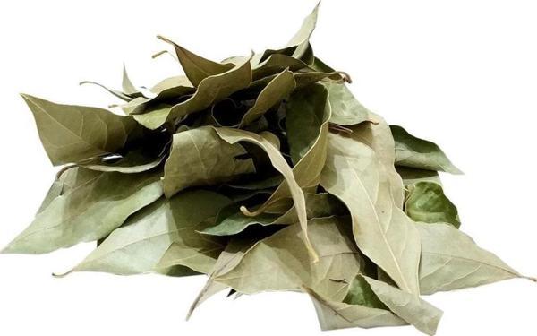 Doğal Kurutulmuş Defne Yaprağı Saf Kuru Defne Yaprak 80 gr - Image 1