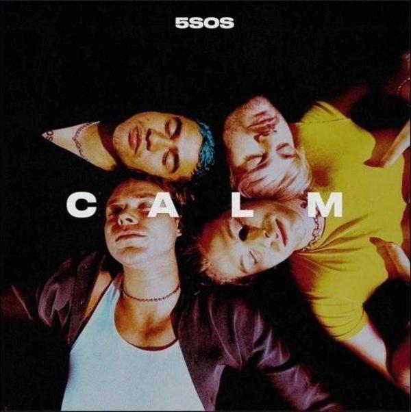 5 Seconds Of Summer Calm Plak - Image 1