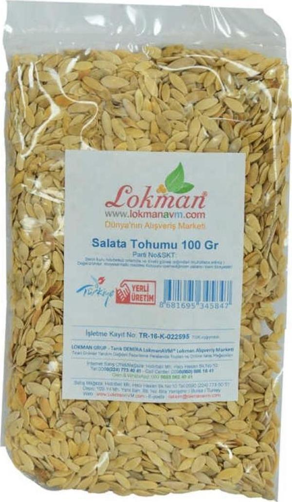 Doğal Salatalık Tohumu Saf Salata Tohumu 100GR Mini Paket - Image 1