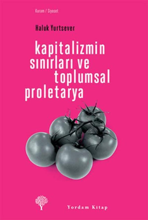 Kapitalizmin Sınırları ve Toplumsal Proletarya - Yordam Kitap - Image 1