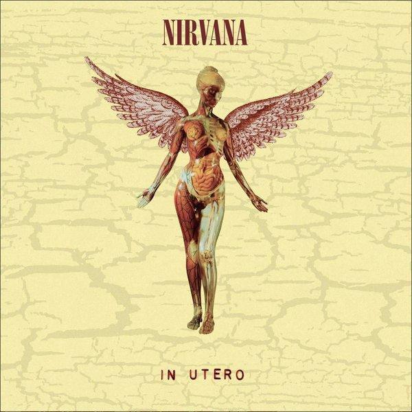 Nirvana In Utero (Super Deluxe) Plak - Image 1