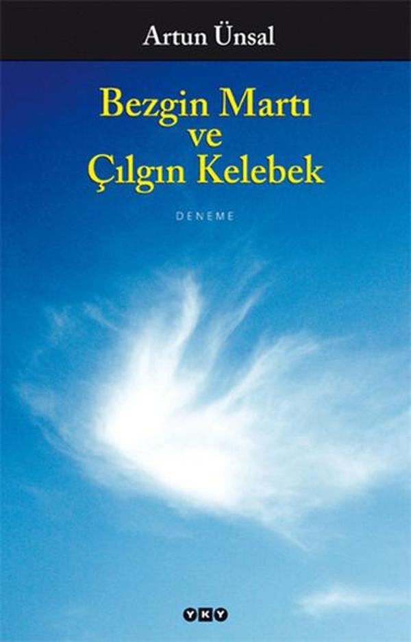 Bezgin Martı ve Çılgın Kelebek / Artun Ünsal - Yapı Kredi Yayınları - Image 1