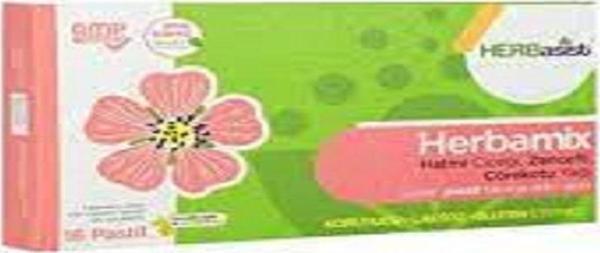 HERBasist Herbamix 16 Pastil - Image 1